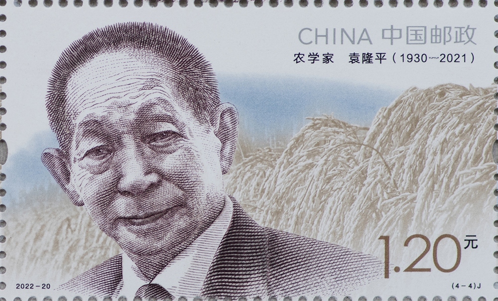 图4-单枚.jpg