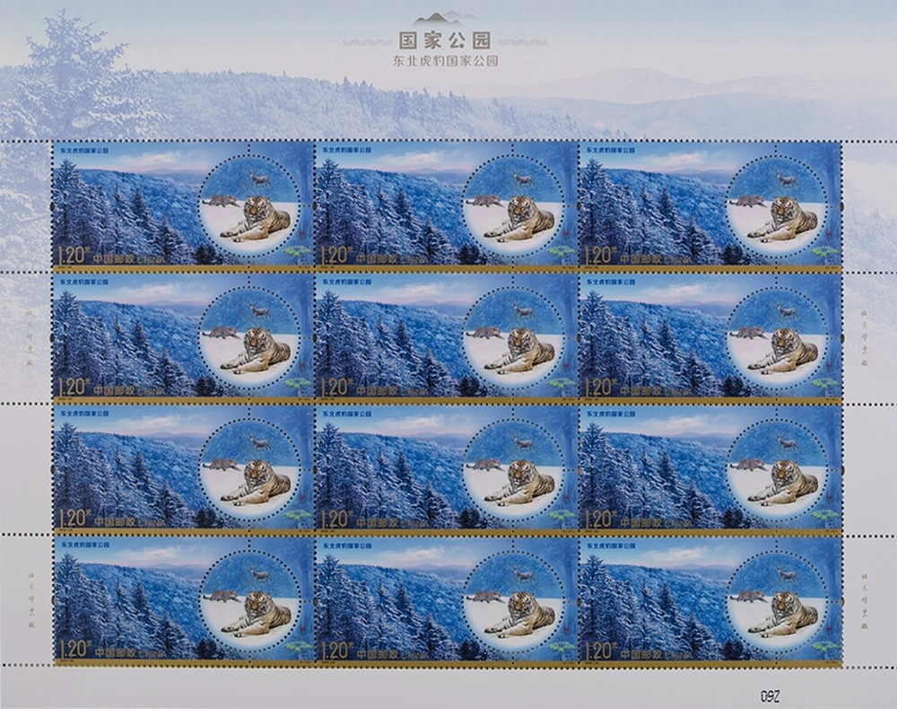 图3-整版.jpg