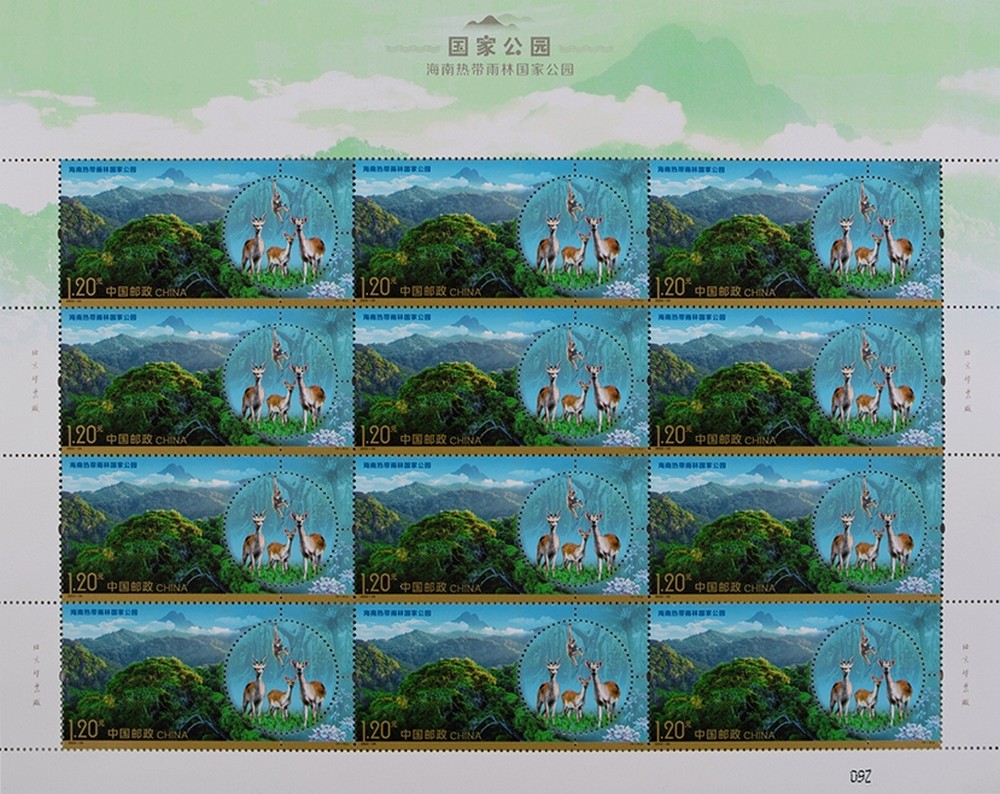 图4-整版.jpg