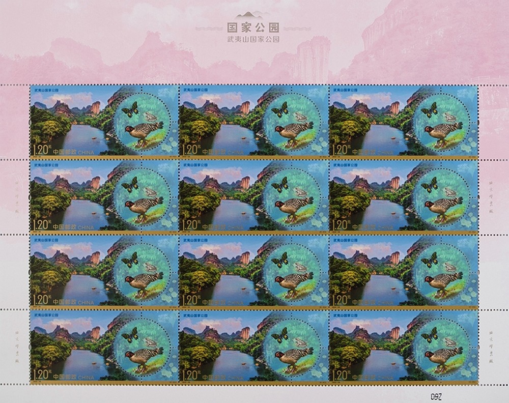 图5-整版.jpg