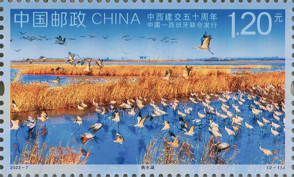 图1-单枚.jpg