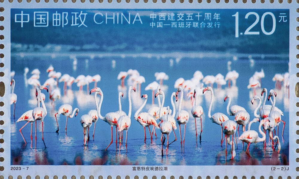 图2-单枚.jpg