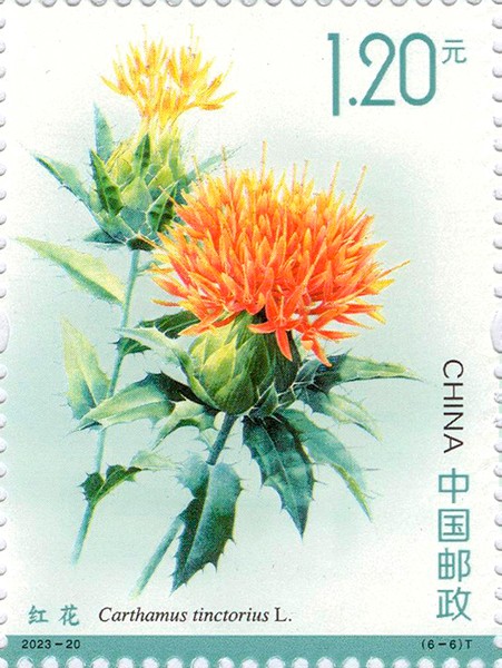 图6.jpg
