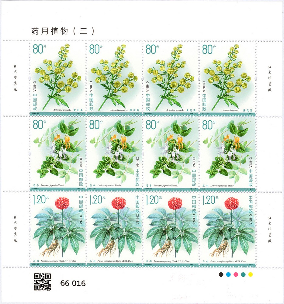版式一-1.jpg
