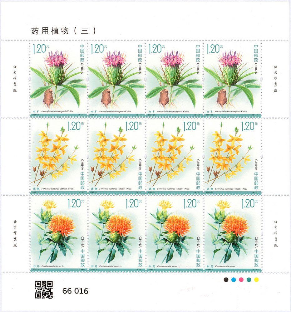 版式二-2.jpg