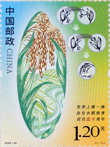 单枚.jpg