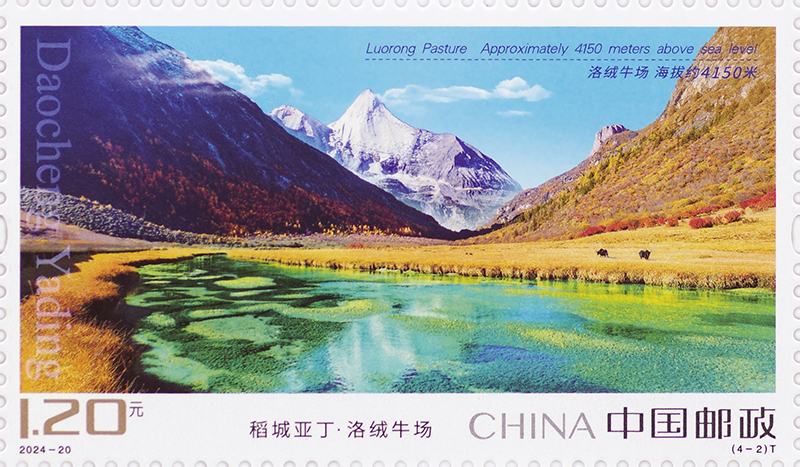 图2-单枚.jpg