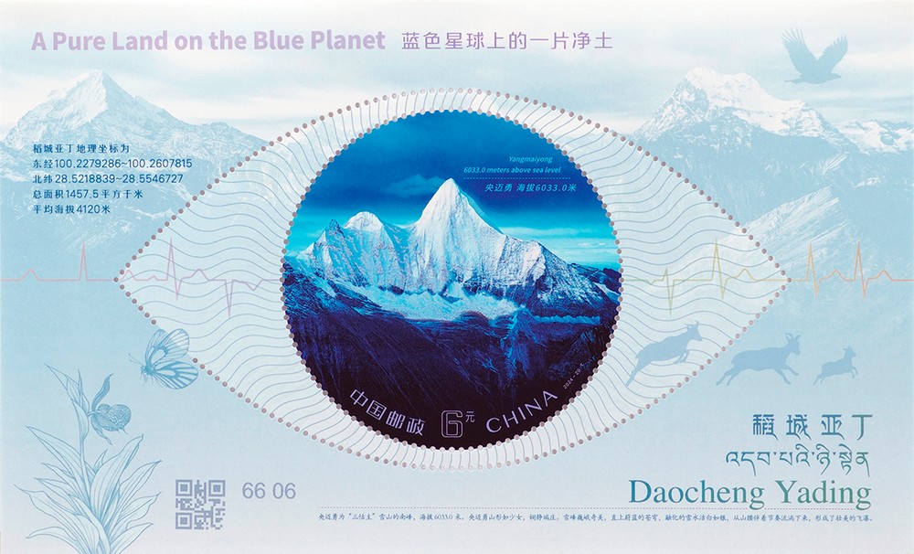 小型张.jpg