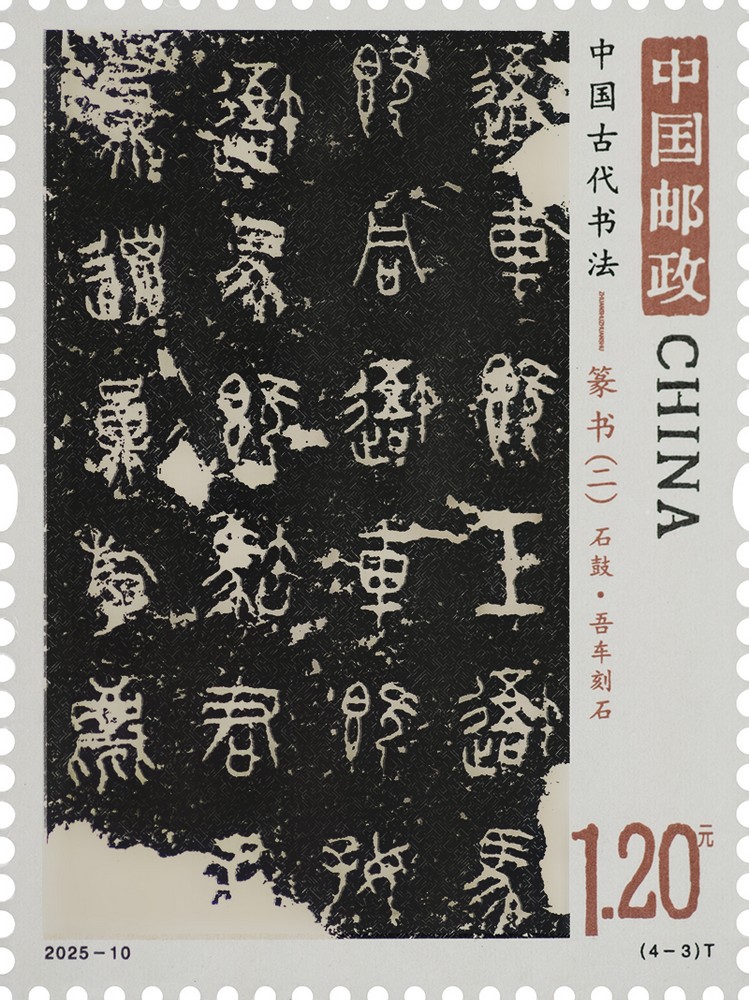 2025-10_（4-3）T单枚.jpg