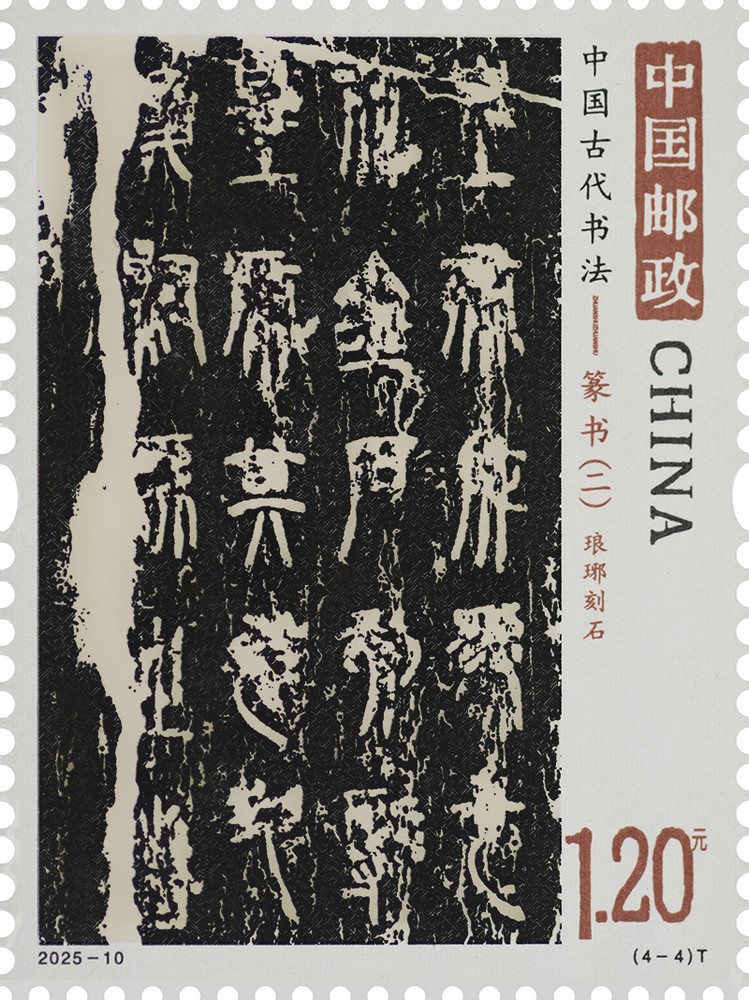 2025-10_（4-4）T单枚.jpg