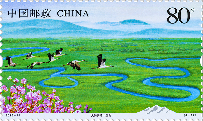 2025-14_(4-1)T_单枚.jpg