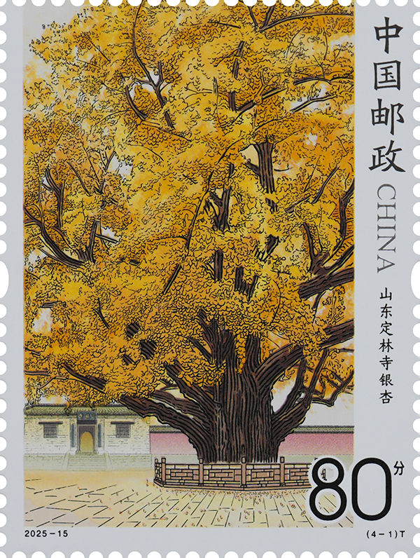 2025-15（4-1）T_单枚.jpg