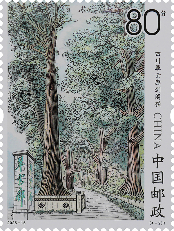 2025-15（4-2）T_单枚.jpg