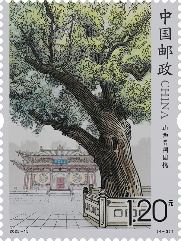 2025-15（4-3）T_单枚.jpg