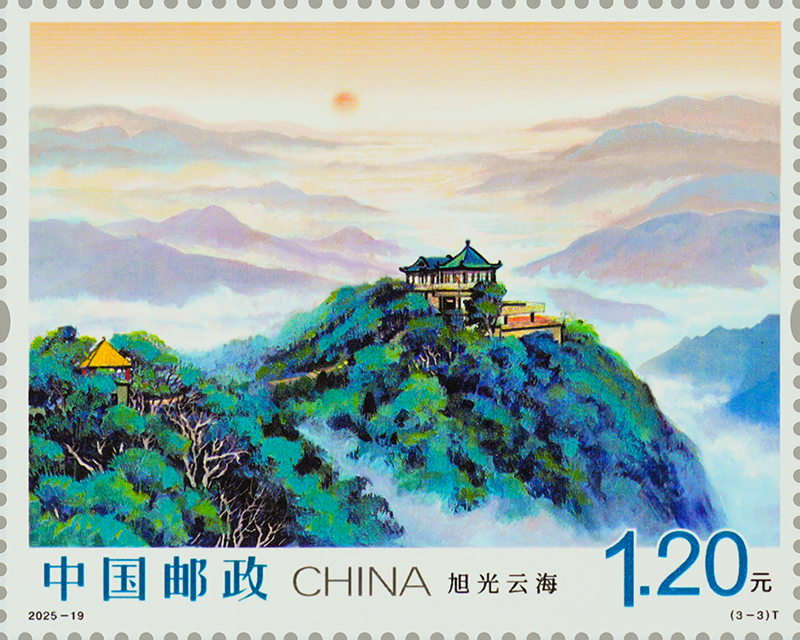 2025-19（3-3）T单枚.jpg