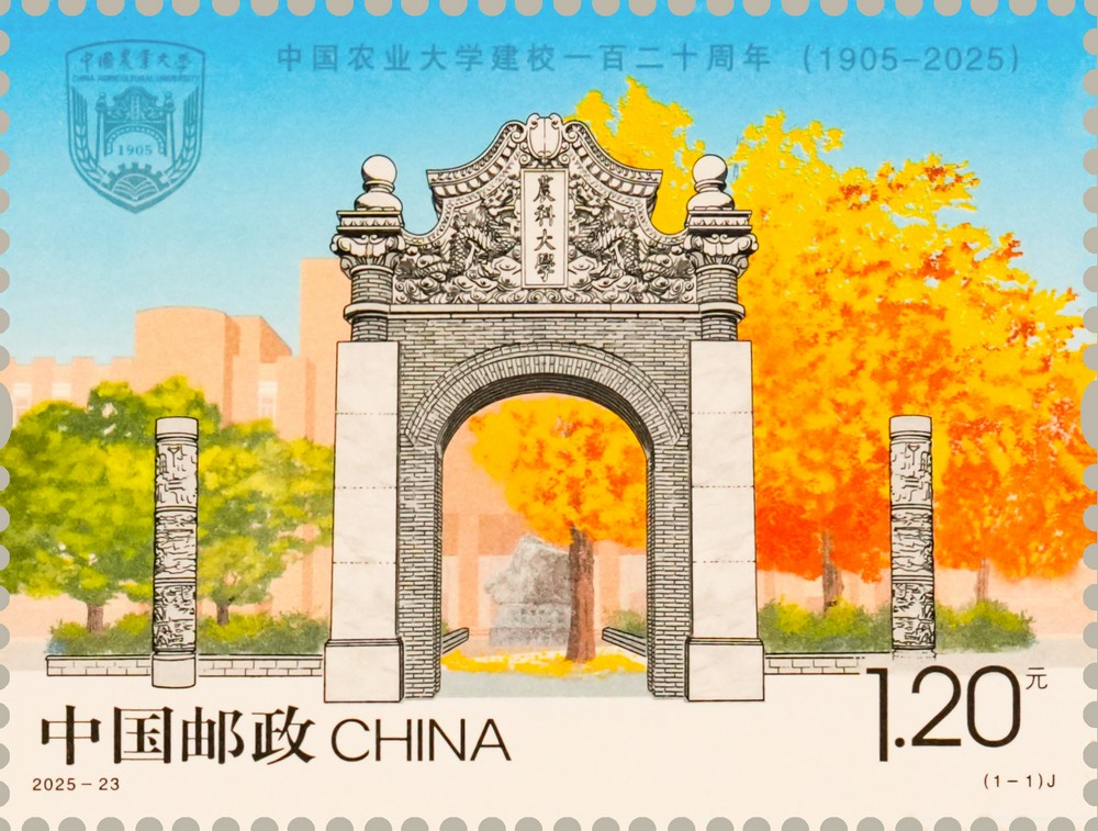 2025-23（1-1）_单枚.jpg