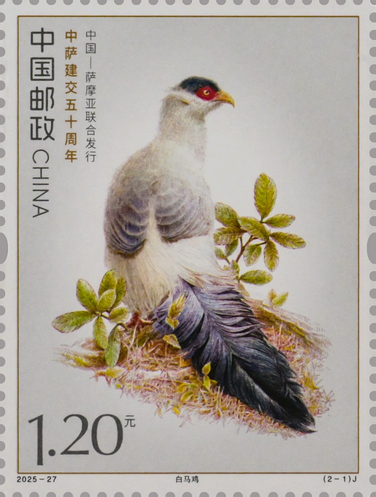 2025-27（2-1）J单枚.jpg