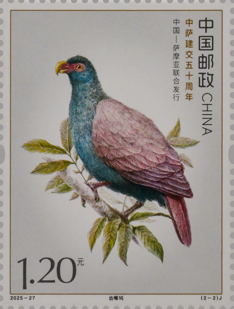 2025-27（2-2）J单枚.jpg