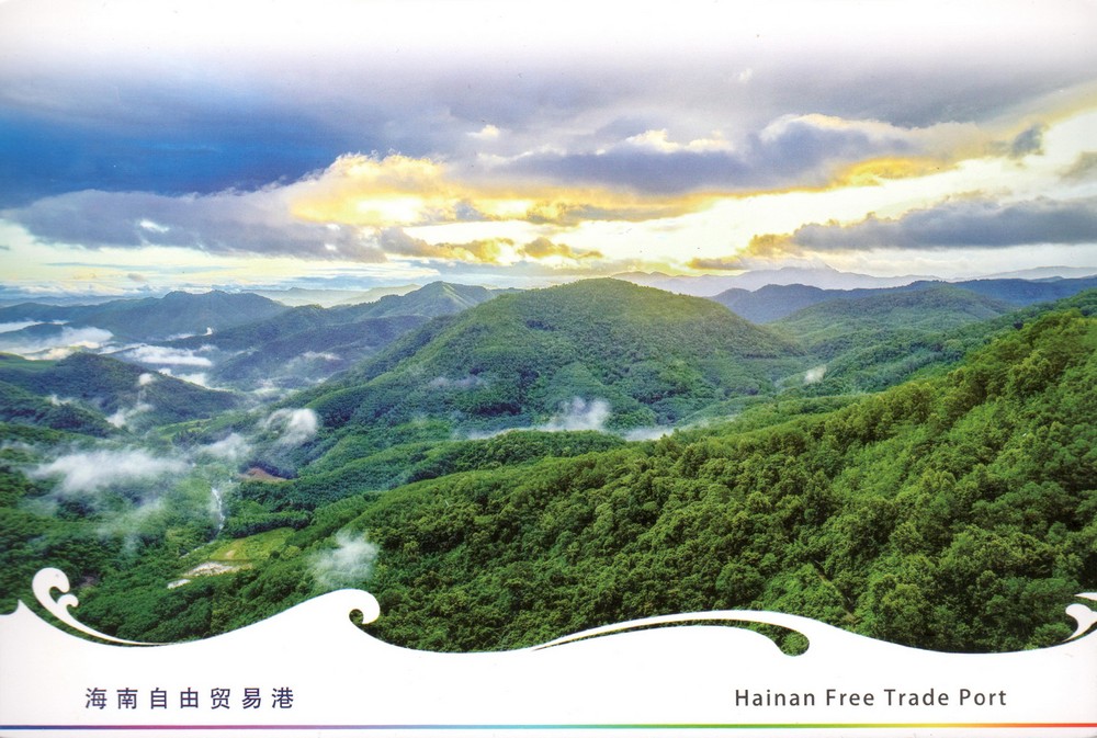 （5-5）背面.jpg