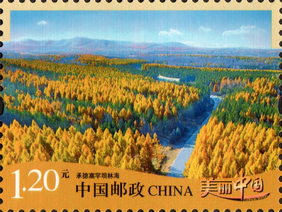承德塞罕坝林海-单枚.jpg