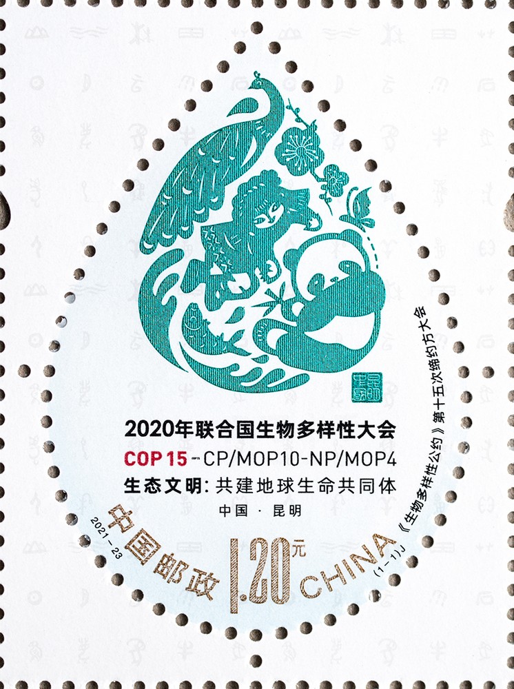 单枚.jpg