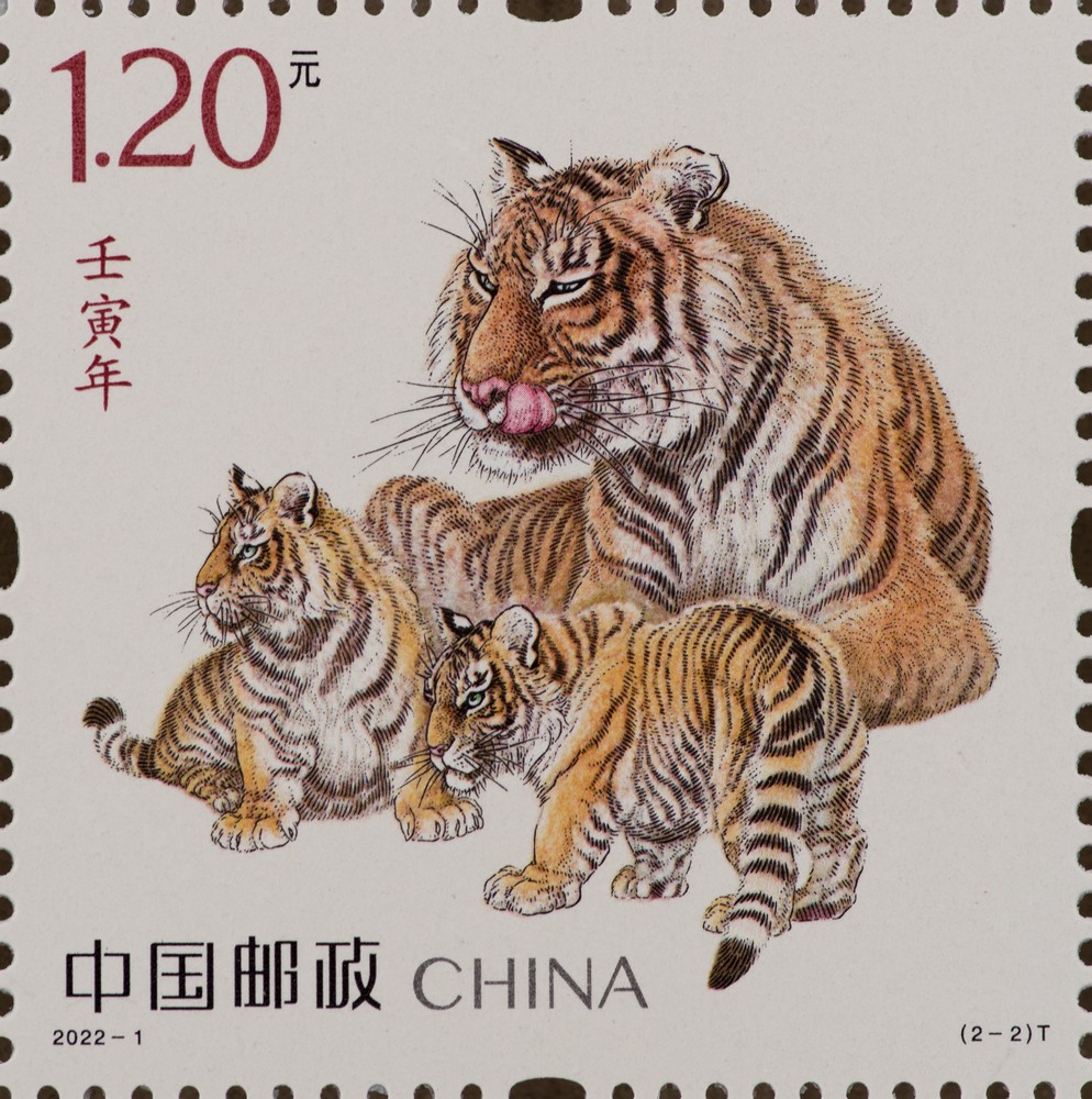 单枚-图2.jpg